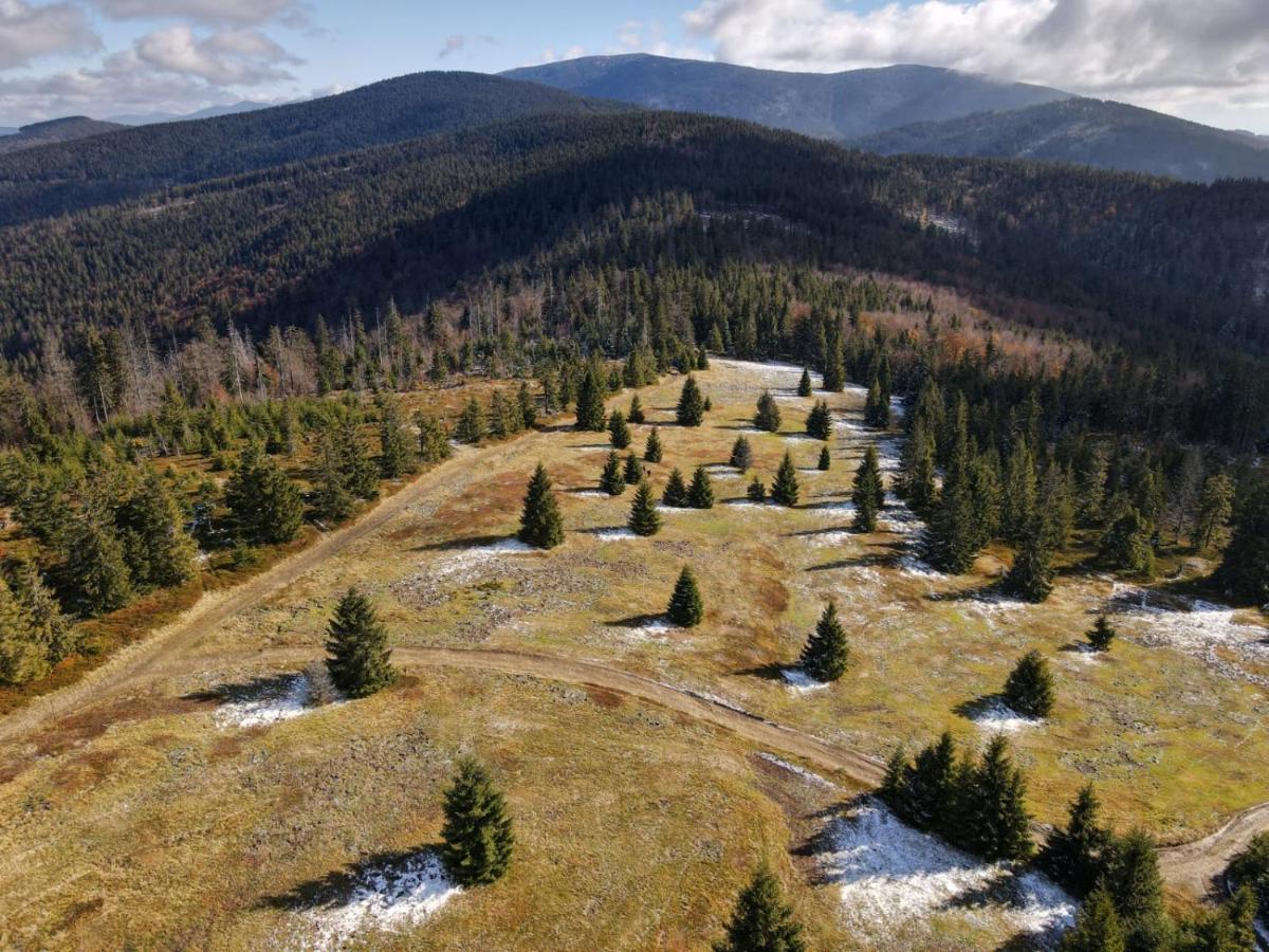 Pokoje Pod Szyndzielnia Bielsko-Biała Exteriör bild