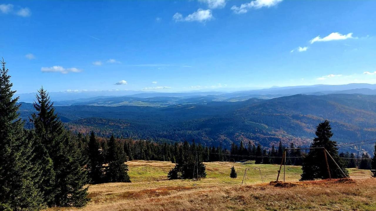 Pokoje Pod Szyndzielnia Bielsko-Biała Exteriör bild