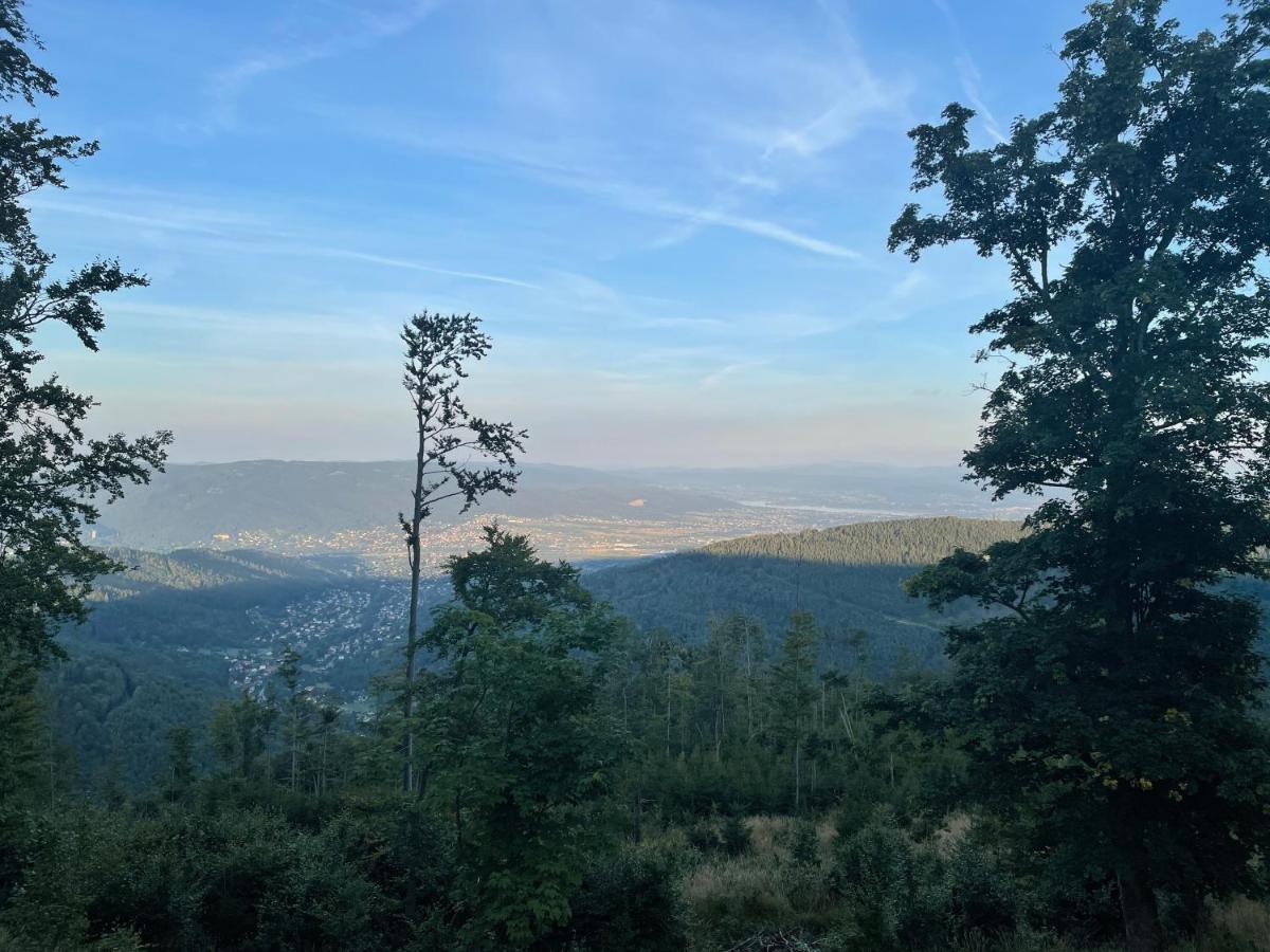 Pokoje Pod Szyndzielnia Bielsko-Biała Exteriör bild